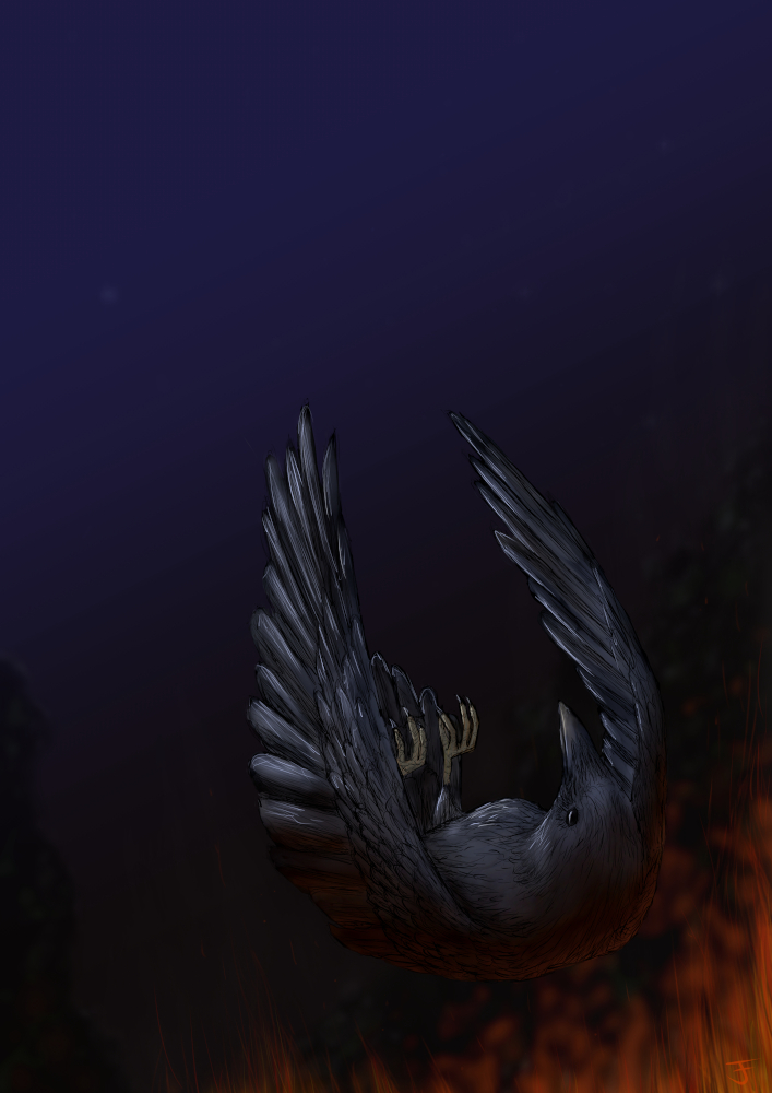 Illustration of a raven falling from a night's sky into a fire.